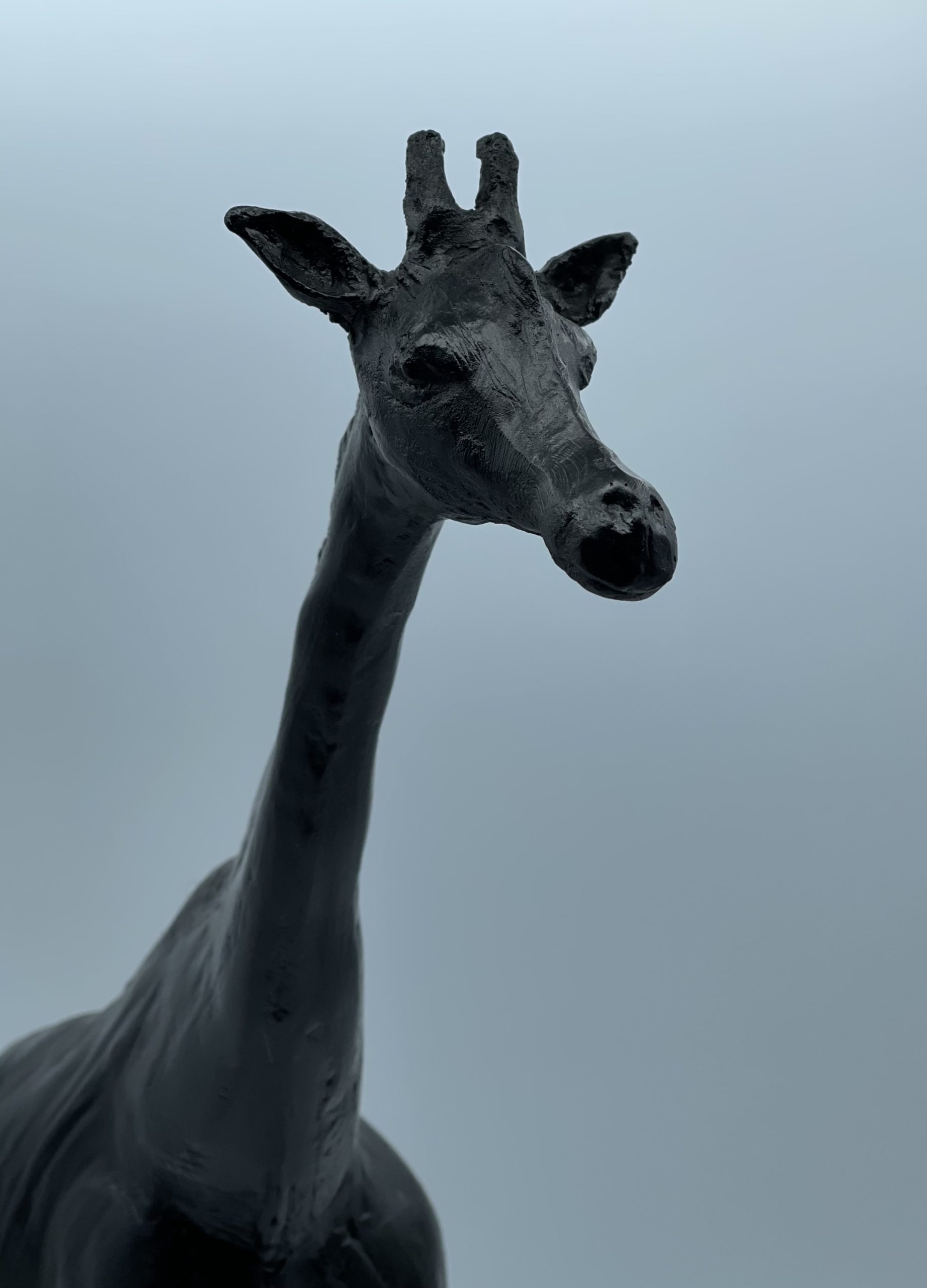Girafe noire